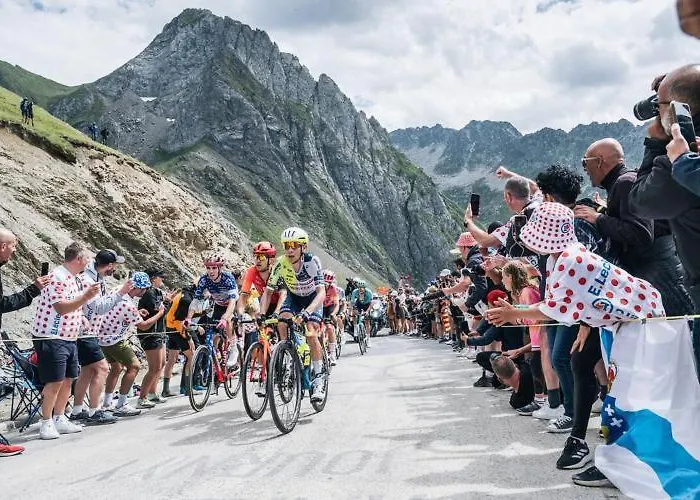 Apartman Le Petit Nid *